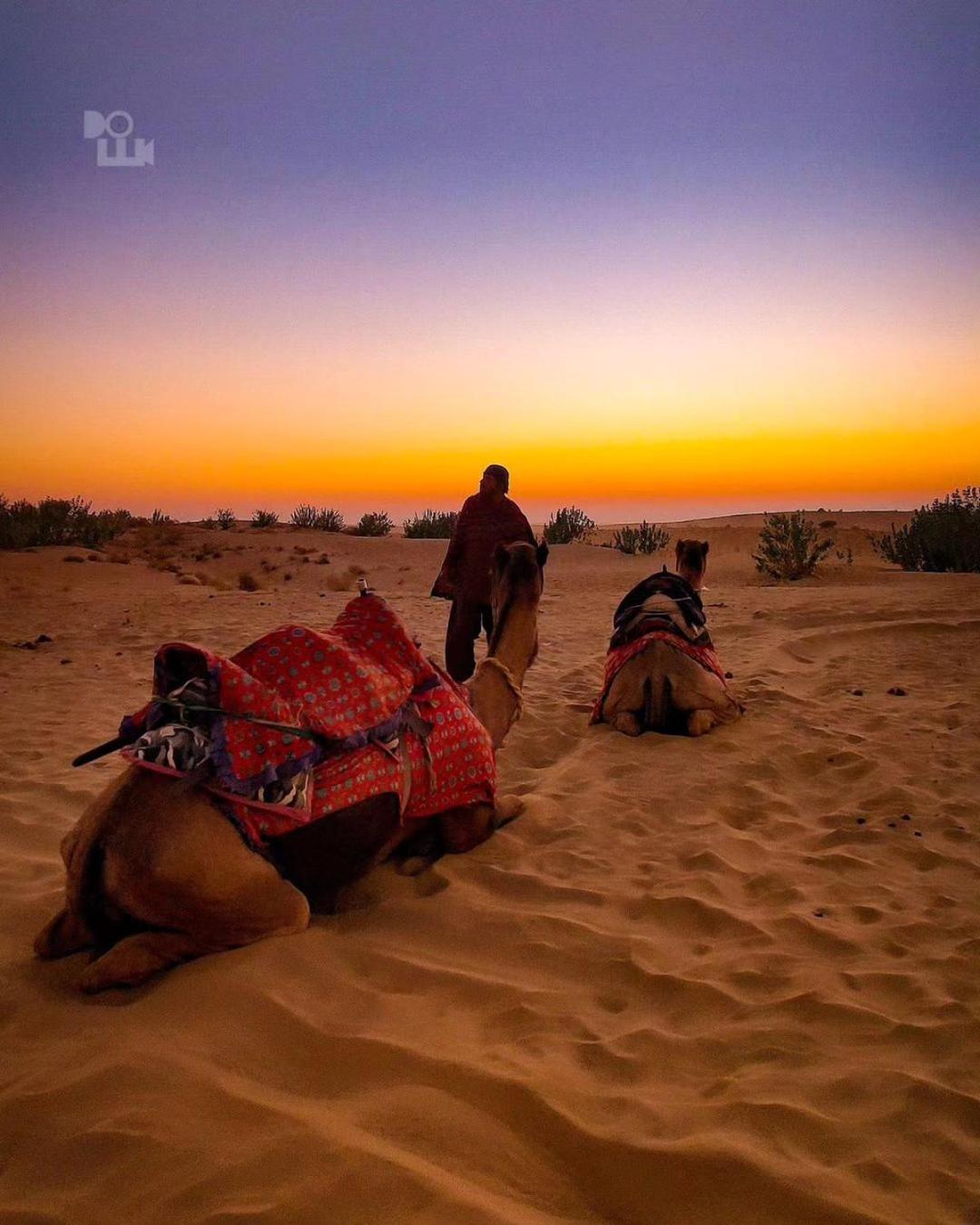 Mirvana Guest House & Camel Safari Джайсалмер Экстерьер фото